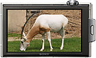 Appareil photo Sony DSC-T900