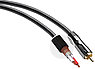 QED Performance P-SW