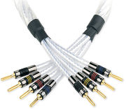 QED Genesis Silver Spiral Bi-Wire (2 x 1 m)