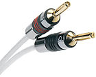 C&acirc;ble d'enceintes mont&eacute; QED Silver Anniversary XT