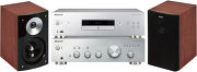 Pioneer A10 Silver + PD10 Silver + Shine 2 Calvados