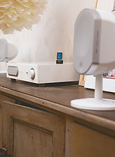 Focal Bird 2.1