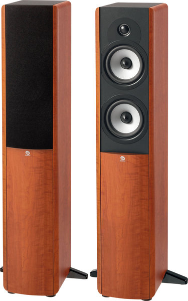 Boston Acoustic A250