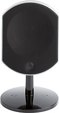 Focal Bird