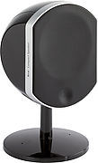 Focal Bird