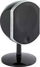 Focal Little Bird