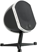 Focal Little Bird Noir