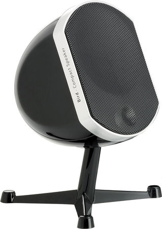 Focal Little Bird