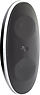 Focal Super Bird