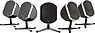 Focal Bird Cinema