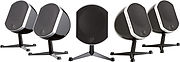 Focal Little Bird Cinema Noir