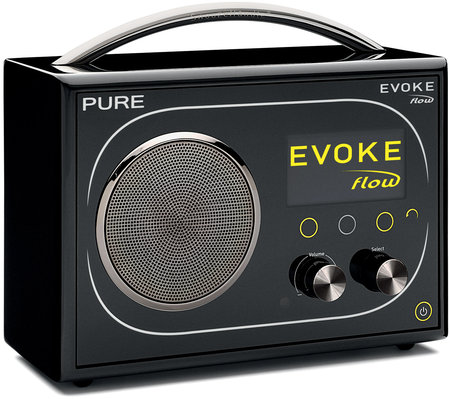 Radio Internet Pure Evoke Flow