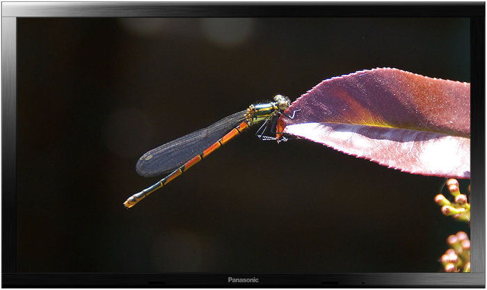 T�l�viseur plasma Panasonic TH-103VX200W