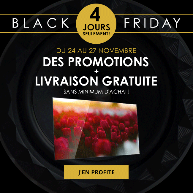 Black Friday : 4 jours seulement ! Du 24 au 27 novembre, des promotions et la livraison gratuite sans minimum d'achat ! J'en profite.