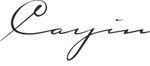 /images/static/marques/Cayin.gif
