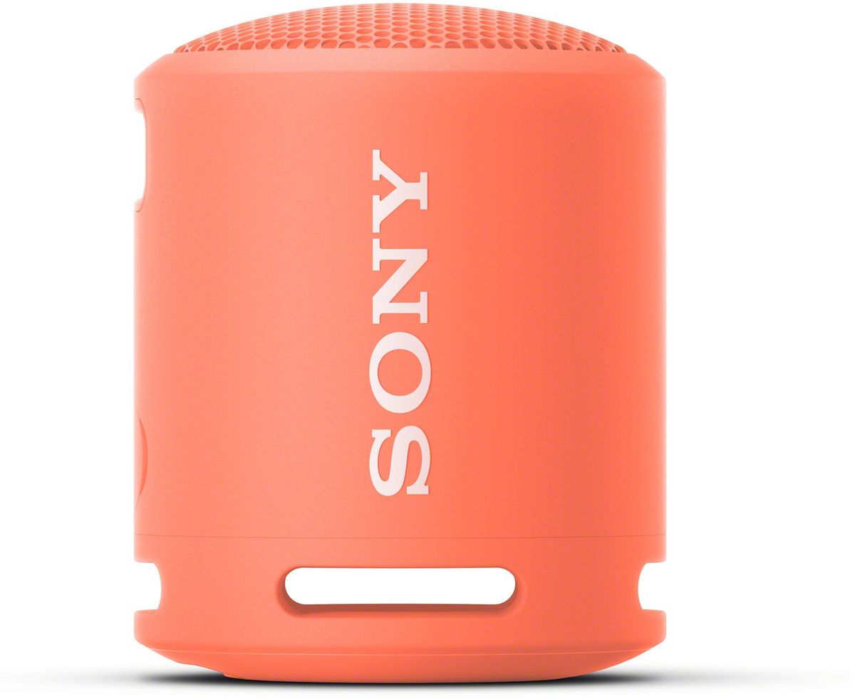 Enceinte Bluetooth Portable Sony SRS-XB30 Extra Bass - Autonomie 24h, Résistante à L'eau IPX5, Lumières Rythmées