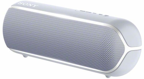 Enceintes Bluetooth portables Sony SRS-XB22 Gris Perle