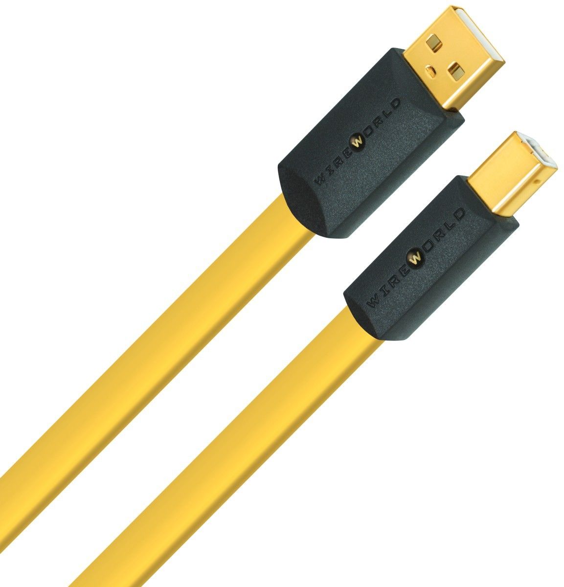 Câbles USB WireWorld Chroma 8 USB 2.0 A-B (1 m)