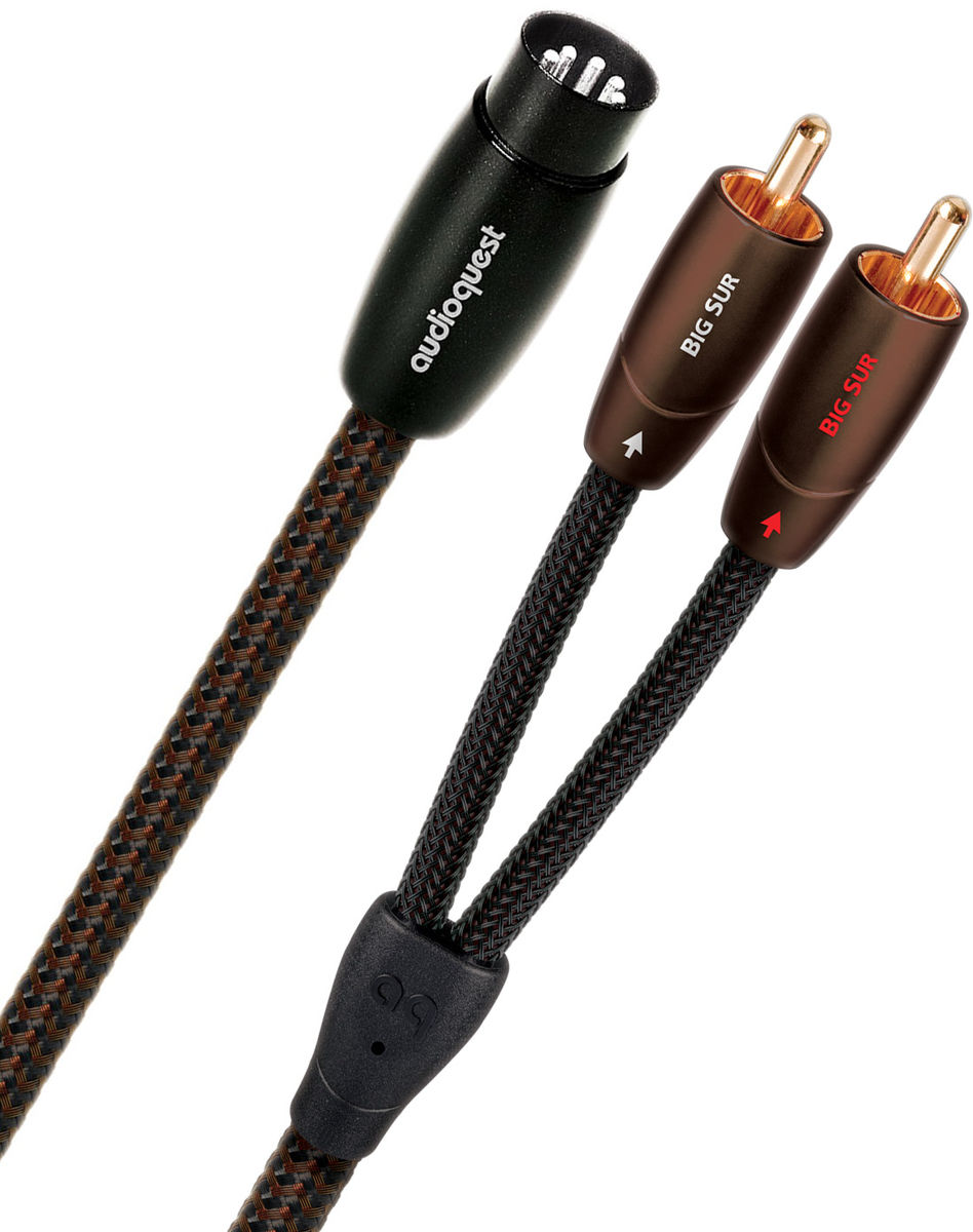 Câbles stéréo DIN Audioquest Big Sur DIN/RCA (3 m)