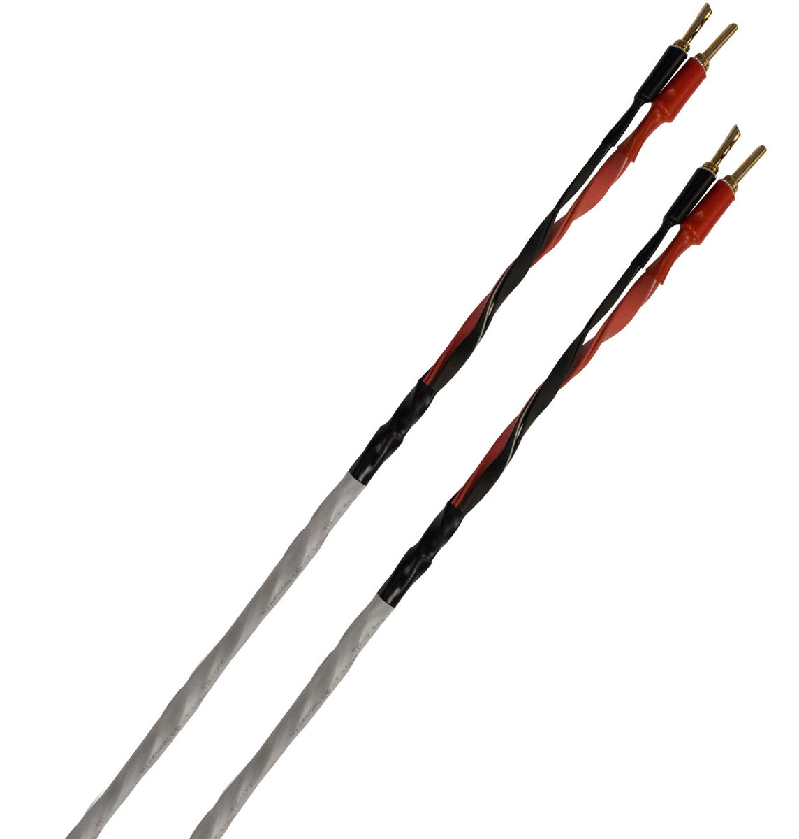 Câbles d'enceintes montés WireWorld Luna 8 (2x5 m)