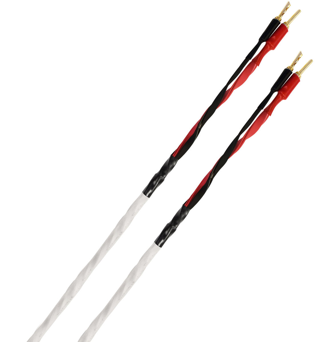Câbles d'enceintes montés WireWorld Solstice 8 (2x3 m)