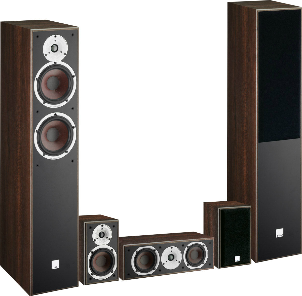 Packs d'enceintes grand spectacle Dali Spektor 6 System Noyer