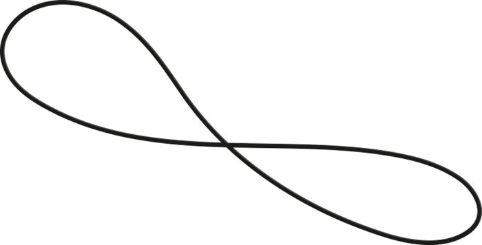 Courroies vinyle Elipson Courroie