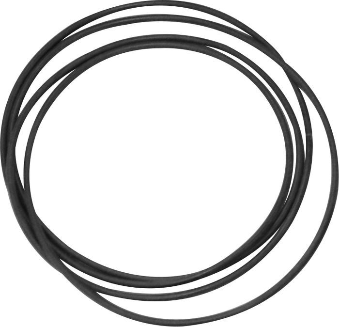 Courroies vinyle Pro-Ject Courroie de rechange pour Perspective