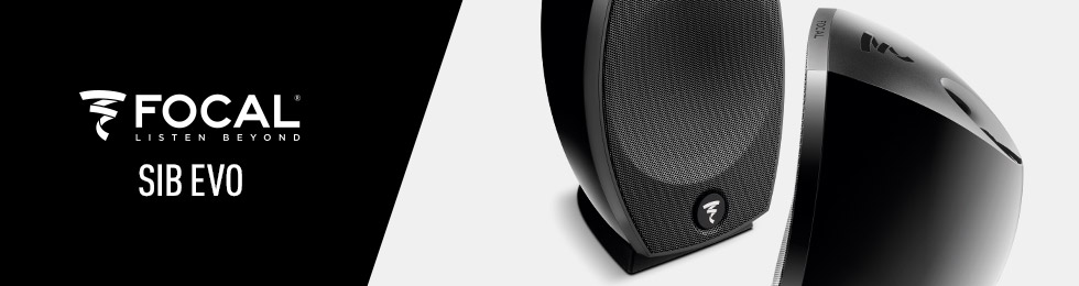 Enceinte Focal Sib Evo – Filaire – Bon état – Noire